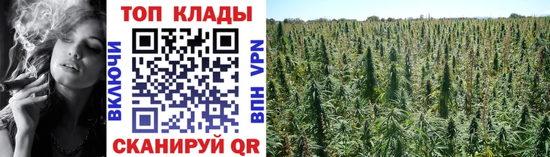 Магазины продажи наркотиков Пучеж КОКАИН  Мефедрон  ГАШ  КЕТАМИН  Марихуана 