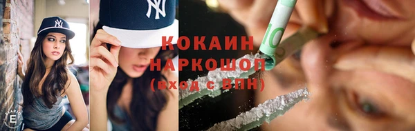 твердый Арсеньев