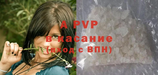 твердый Арсеньев