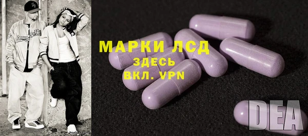 твердый Арсеньев