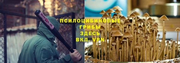 твердый Арсеньев