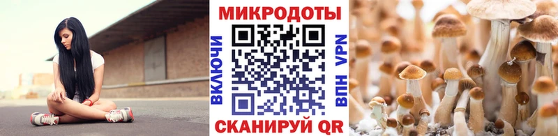 гидра онион  Пучеж  Галлюциногенные грибы Cubensis 